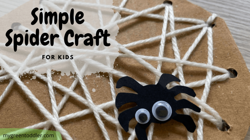 Spider craft