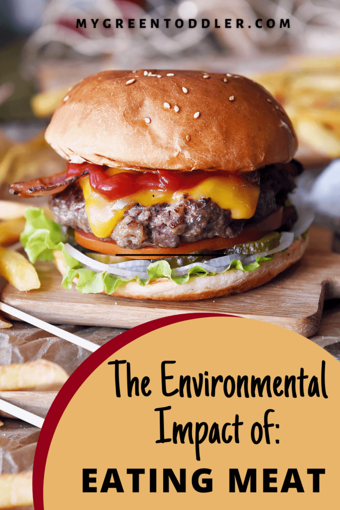 The environmental impact of meat production pin