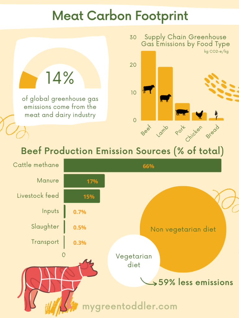 The Environmental Impact of Meat Production (It's big!)