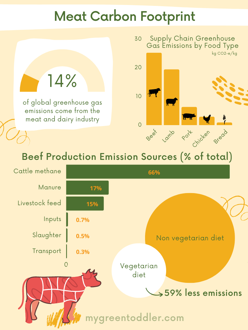 Is Beef Farming Bad For The Environment