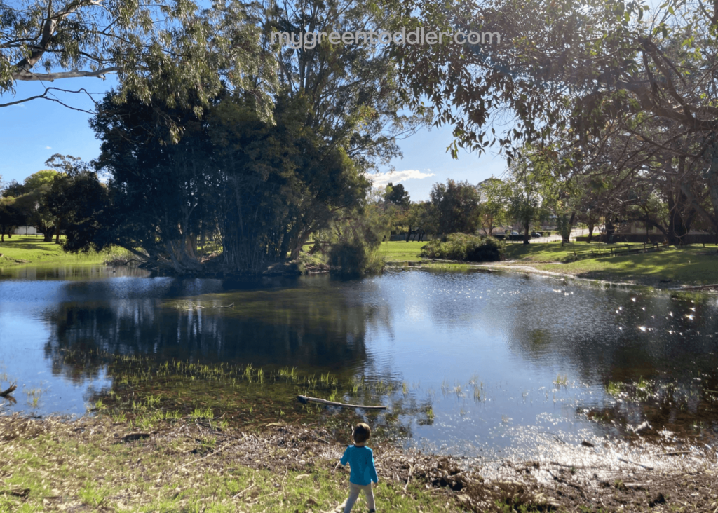 A child next to a lake with trees