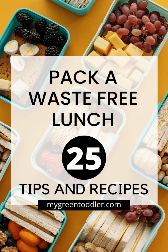 Waste free lunch box Pinterest pin