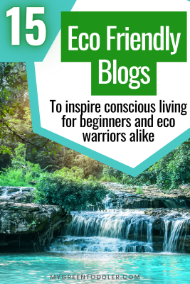 Sustainability blogs pin